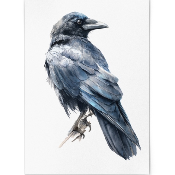 Watercolor Black Crow Wall Art Print Unframed - Black Bird Raven Illustration - Picture 2 of 6